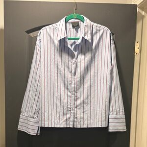 Classic Blue Striped Button Down